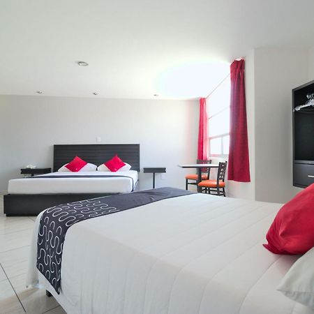 Hotel Euro Confort,Pachuca 外观 照片