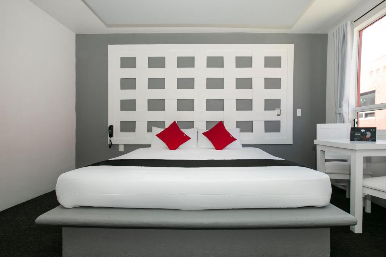 Hotel Euro Confort,Pachuca 外观 照片