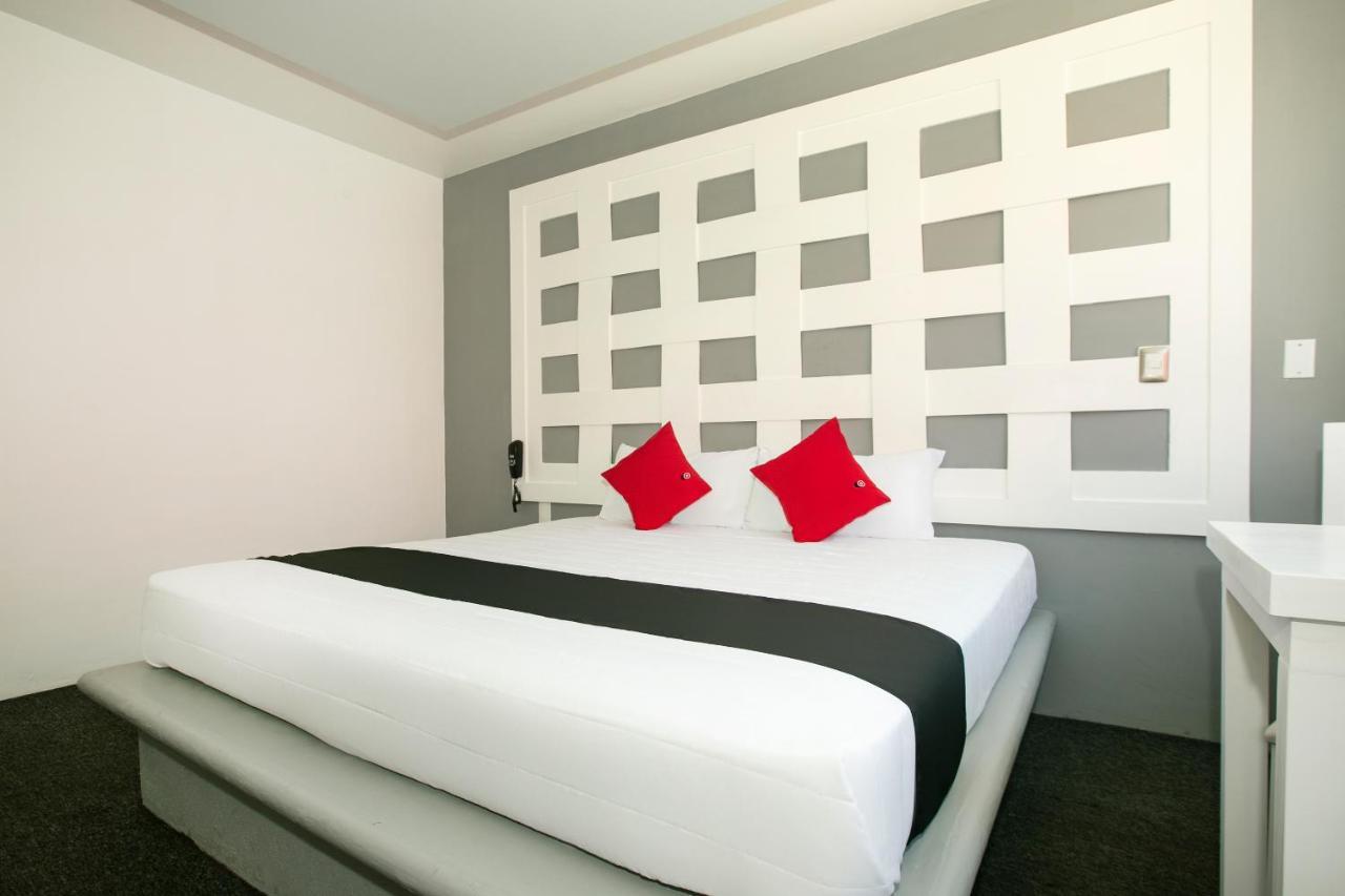 Hotel Euro Confort,Pachuca 外观 照片